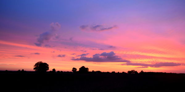 Silhouette trees on field against orange sky