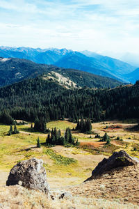 Scenic view of landscape against sky