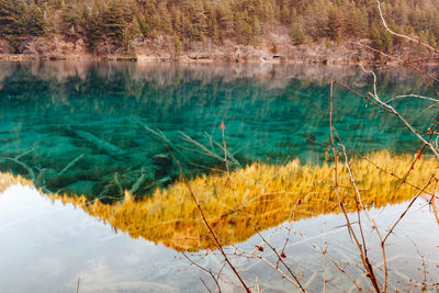 Scenic view of lake