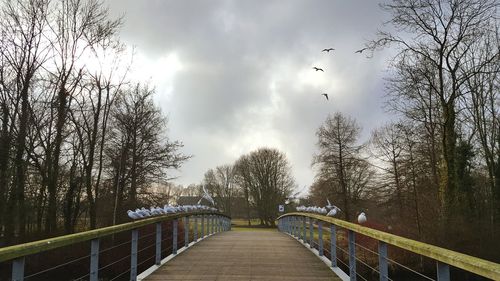 View of footbridge against sky