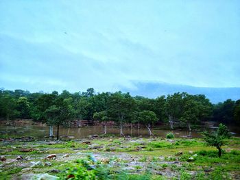 Trees on landscape against sky