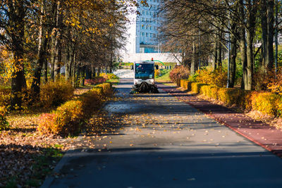 Road amidst trees in city during autumn