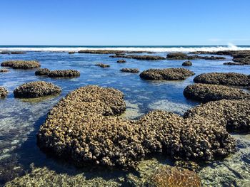 Scenic view of sea against clear sky