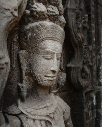 Close-up of buddha statue on tree trunk