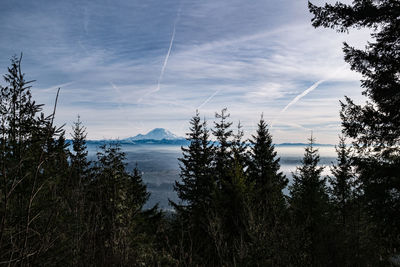 View of mount rainier