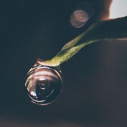 Low angle view of water drop on glass