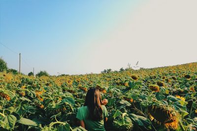 Rear view of woman standing in sunflower field