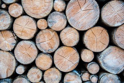 Full frame shot of logs in forest