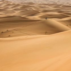 Scenic view of desert