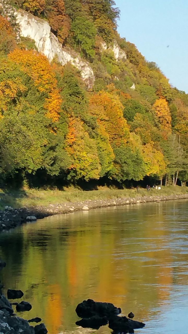 water, tree, tranquility, beauty in nature, scenics, tranquil scene, rock - object, nature, lake, autumn, reflection, idyllic, change, river, rock formation, non-urban scene, season, mountain, day, waterfront