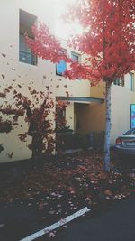 Built structure with trees in background