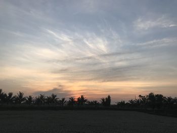 Silhouette trees on field against sky during sunset