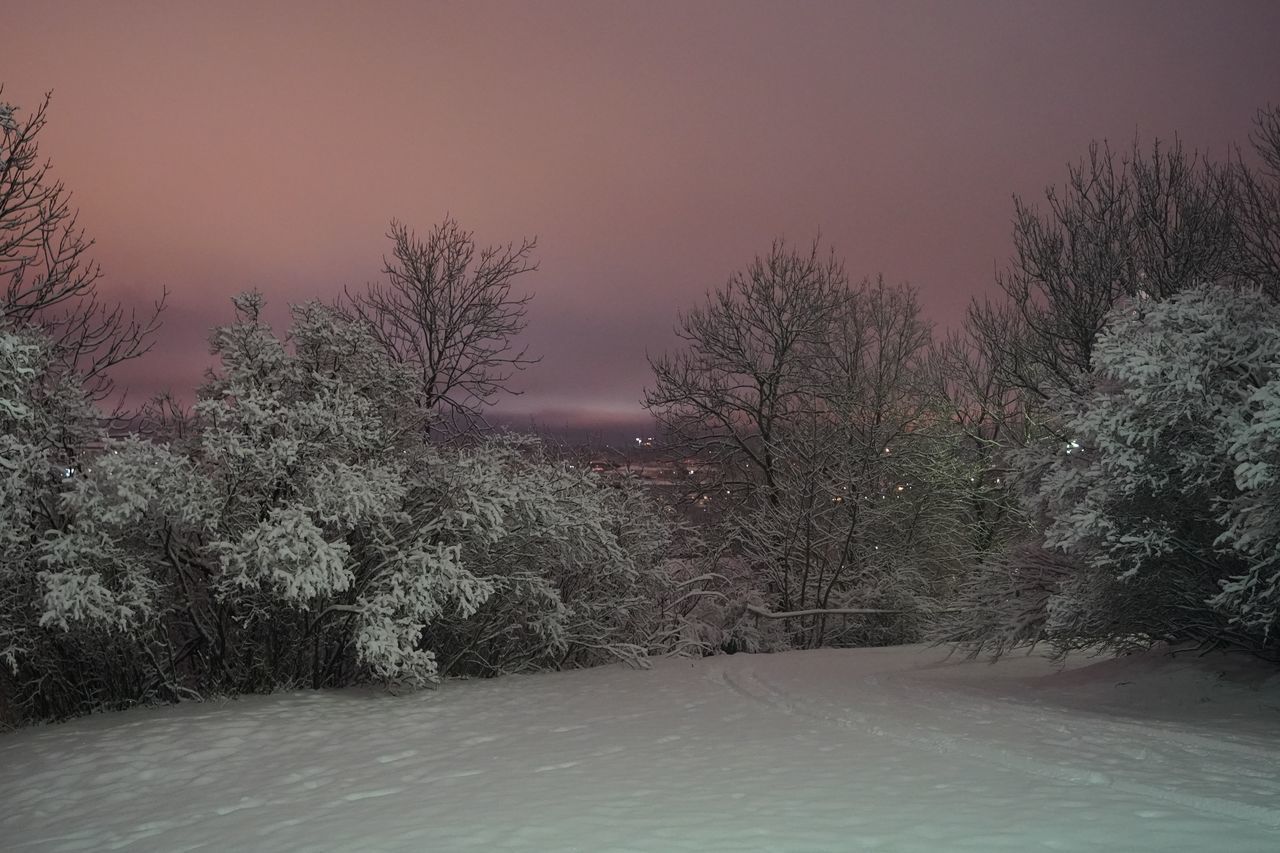 SNOW COVERED TREES ON FIELD AGAINST SKY DURING SUNSET