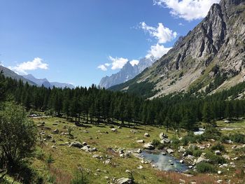 Scenic view of forest and mountains against sky