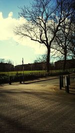 Empty footpath amidst trees