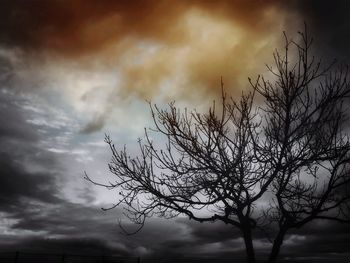 Low angle view of bare trees against cloudy sky