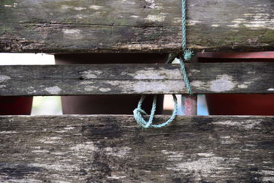 Close-up of wood
