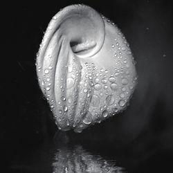 Close-up of water over white background