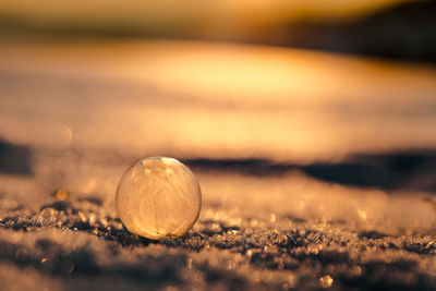 Close-up of bubble on field during winter