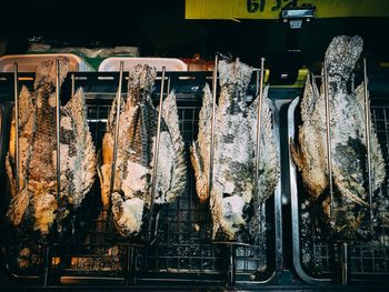 Close-up of fish for sale