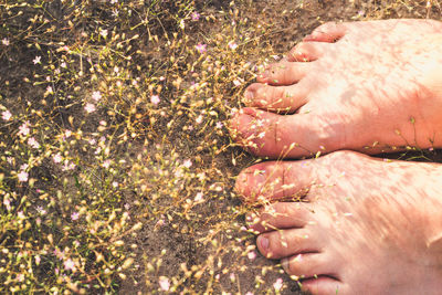 Close up tiny wildflowers falling on woman bare feet concept photo