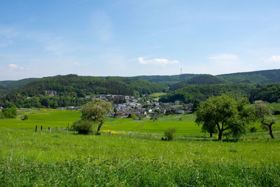 Scenic view of field against sky