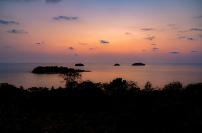 Silhouette trees against sky during sunset