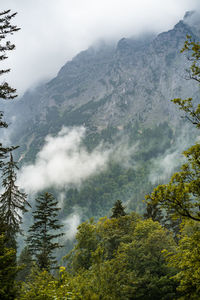 Beautiful hintersee in bavaria, germany