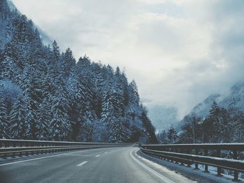 Road passing through bare trees