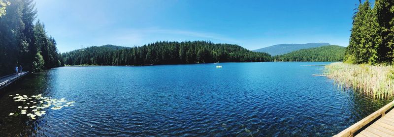 Scenic view of lake by trees against blue sky