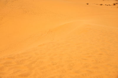 land