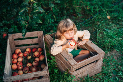 Portrait of young woman picking apples in basket