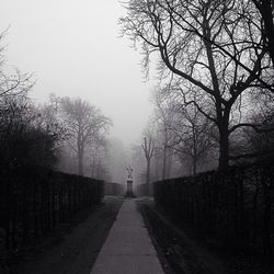 Road along bare trees