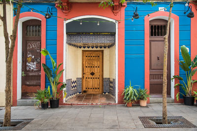 Plants in front of building