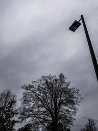 Low angle view of silhouette bare tree against sky