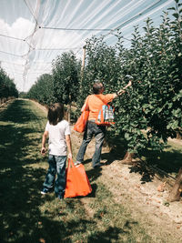 People walking on shore against trees