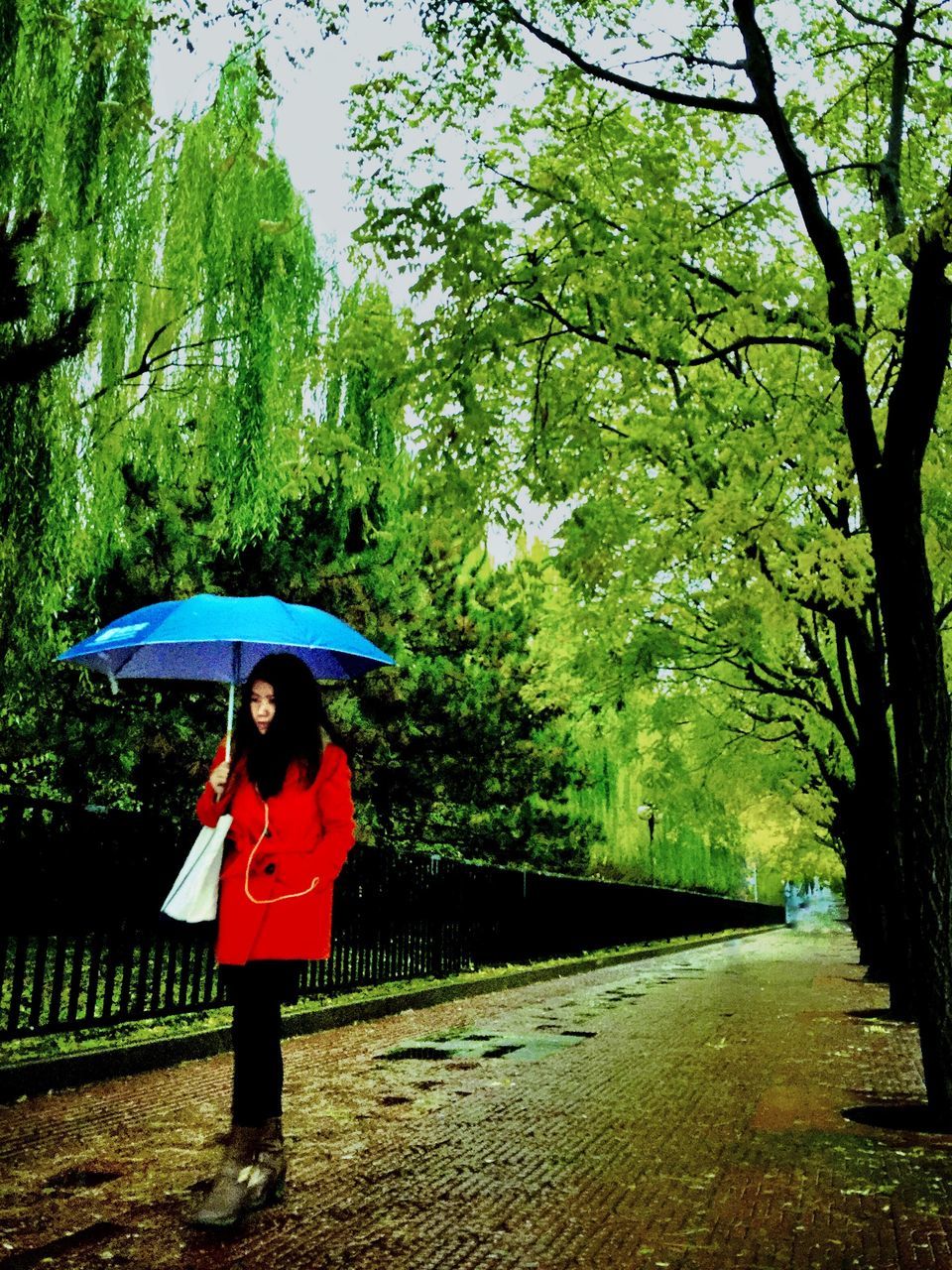 WOMAN WITH UMBRELLA STANDING IN RAIN