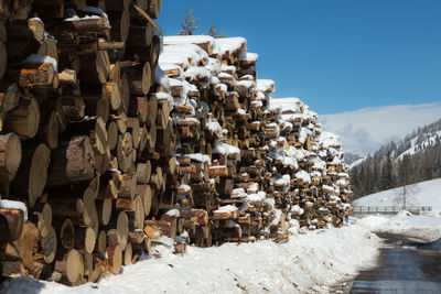 Woodpile with snow- cross section of tree trunks background.