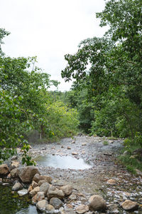 Scenic view of waterfall in forest against sky