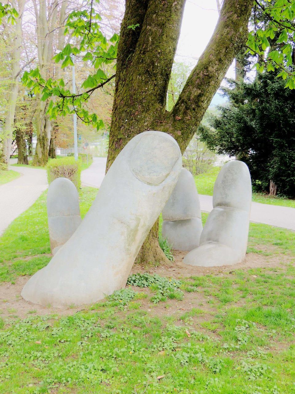 tree, grass, sculpture, park - man made space, growth, statue, green color, tree trunk, human representation, park, art and craft, sunlight, lawn, art, day, plant, nature, creativity, outdoors, field