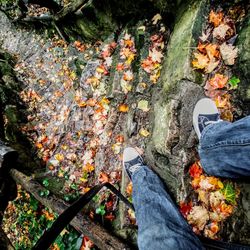 Low section of person on autumn leaves