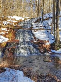 Frozen lake in forest during winter