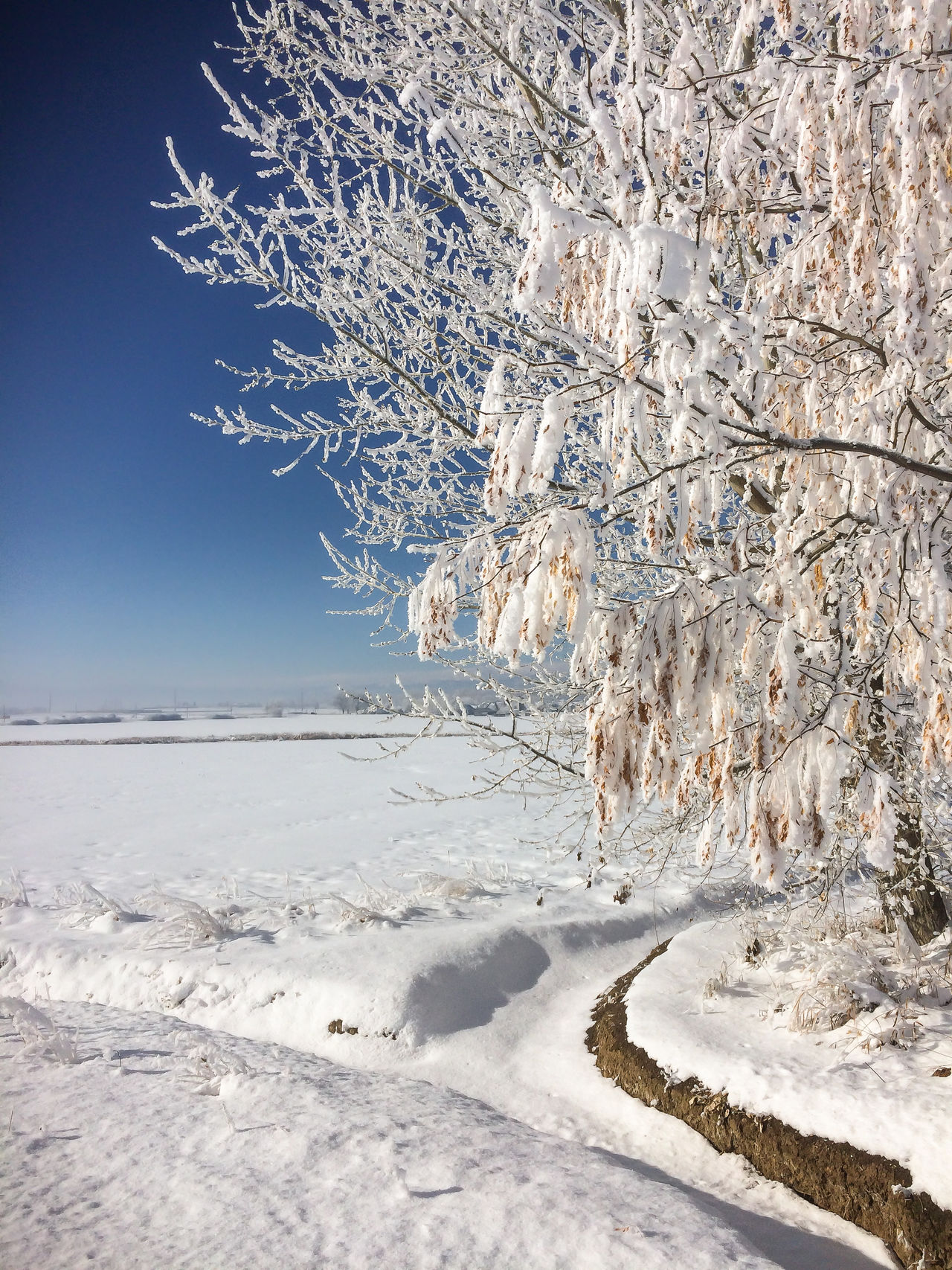 Longmont, Colorado