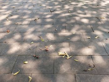 road surface