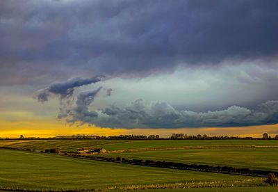 Scenic view of agricultural field against sky during sunset