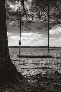 Scenic view of sea against sky. swing in a tree. 