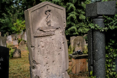 Close-up of statue