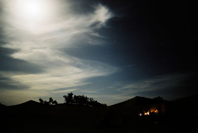 Low angle view of trees at night