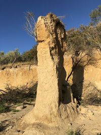 Bare tree in desert against sky