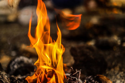 Close-up of orange bonfire on field